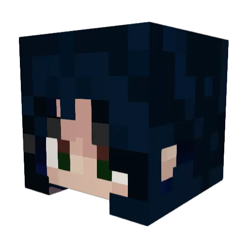 Junebug0630 Minecraft avatar head, 3D render