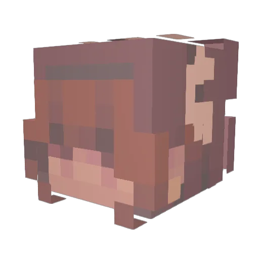 JunebugInk Minecraft avatar head, 3D render