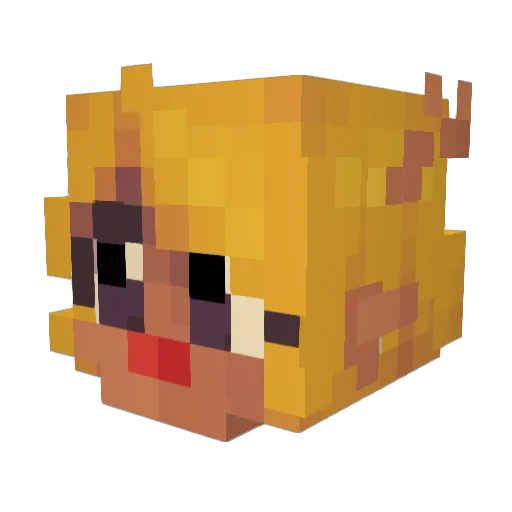 Junebug_99 Minecraft avatar head, 3D render