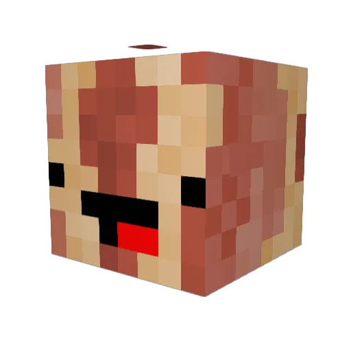 Junebugg9214 Minecraft avatar head, 3D render
