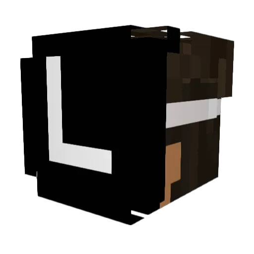 Junebuggy505 Minecraft avatar head, 3D render