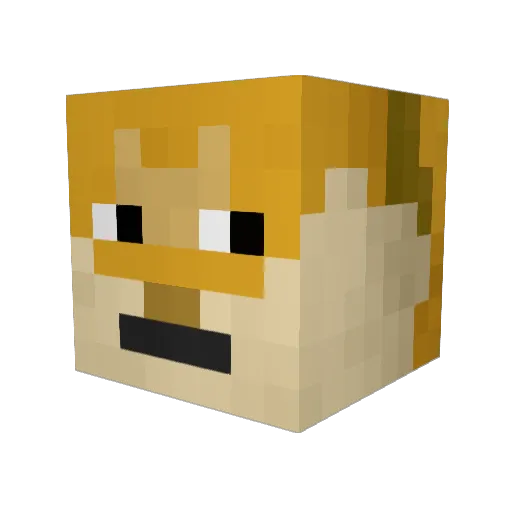 Junefuns Minecraft avatar head, 3D render