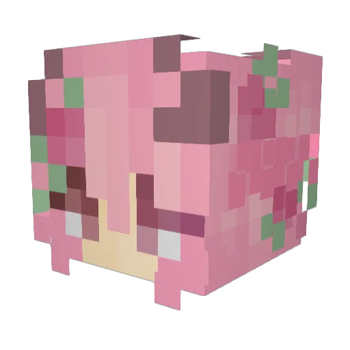 JuneyLaw Minecraft avatar head, 3D render
