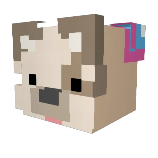 Jung_jes Minecraft avatar head, 3D render