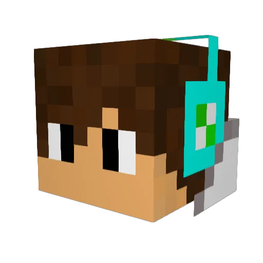Jungel_Games Minecraft avatar head, 3D render