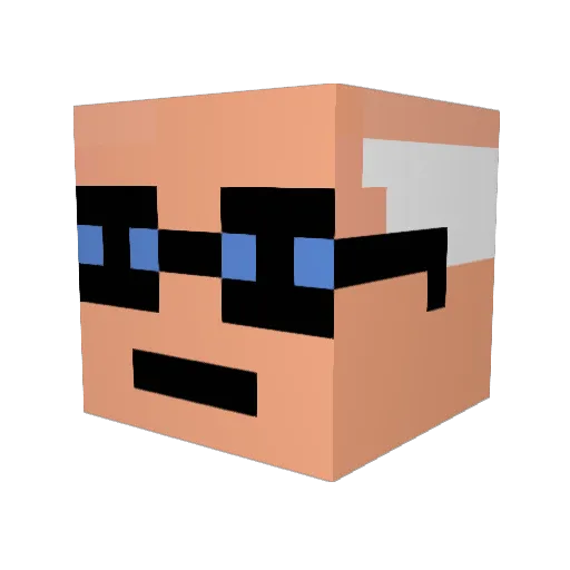 Jungeltryne Minecraft avatar head, 3D render