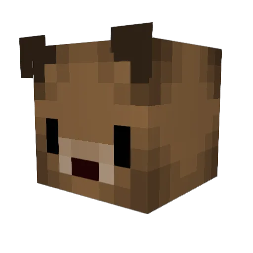 Junges_Wiesel Minecraft avatar head, 3D render