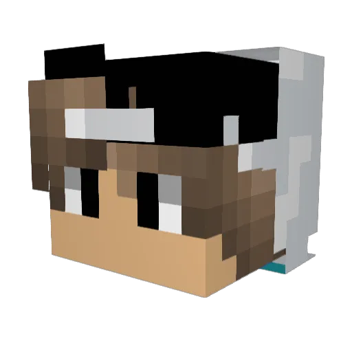 Junglegap112 Minecraft avatar head, 3D render