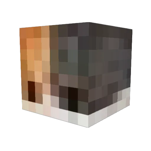 Jungzz Minecraft avatar head, 3D render