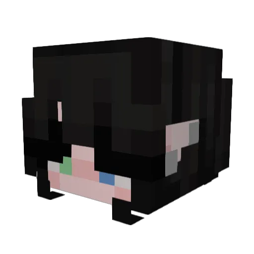 JuniBears Minecraft avatar head, 3D render