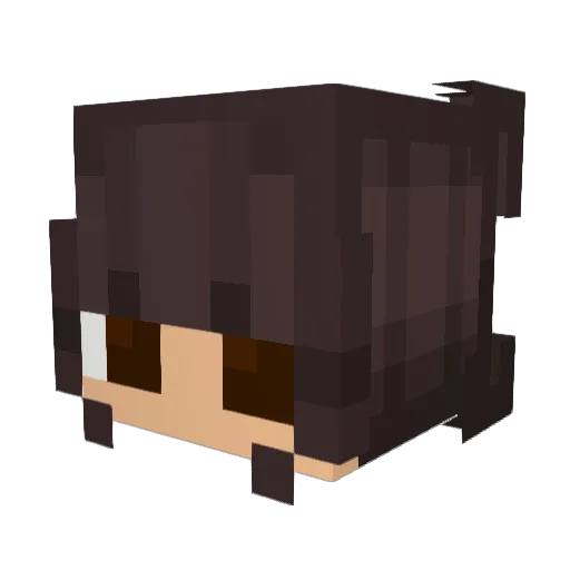 Juni_1157 Minecraft avatar head, 3D render