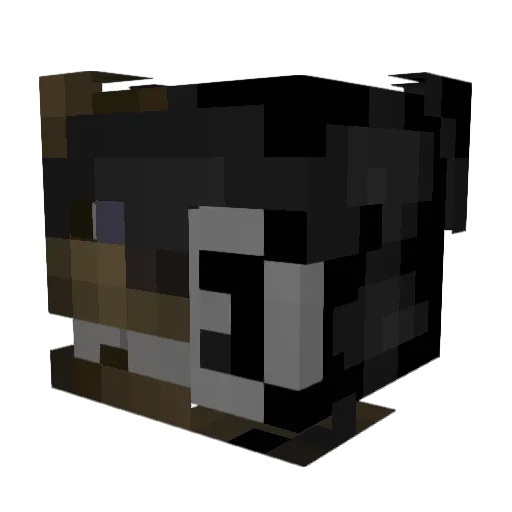 JuniePoundTime Minecraft avatar head, 3D render