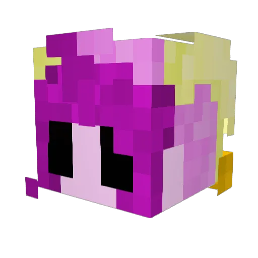 Junie___ Minecraft avatar head, 3D render