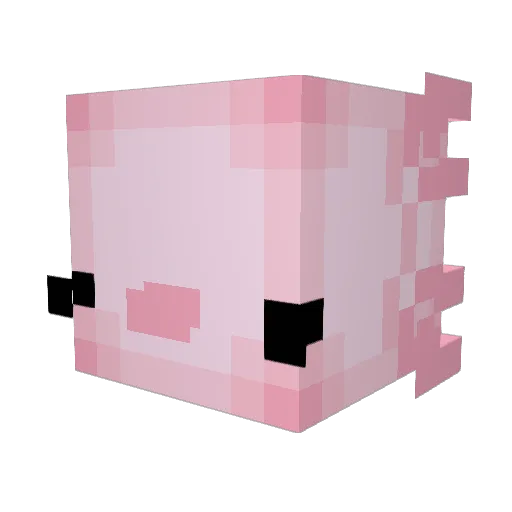 Juniixr Minecraft avatar head, 3D render