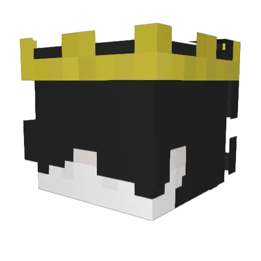 Juninp77 Minecraft avatar head, 3D render