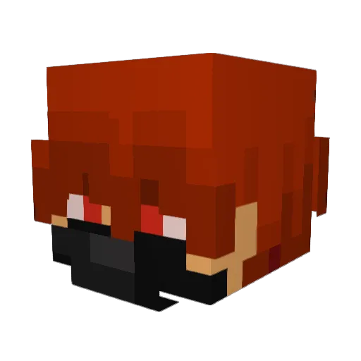 Junior00Yt Minecraft avatar head, 3D render