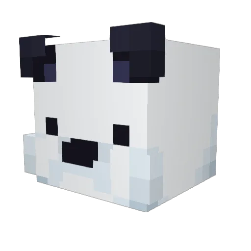 Junior10001 Minecraft avatar head, 3D render