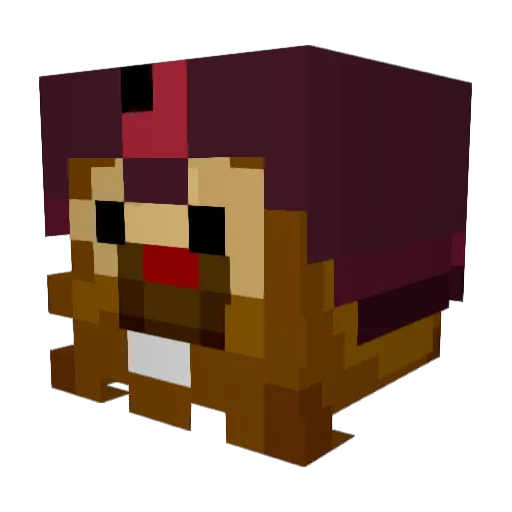 JuniorBidoof Minecraft avatar head, 3D render