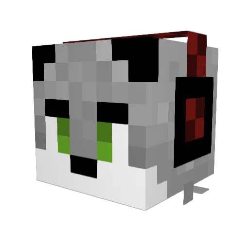 JuniorCazuelas Minecraft avatar head, 3D render