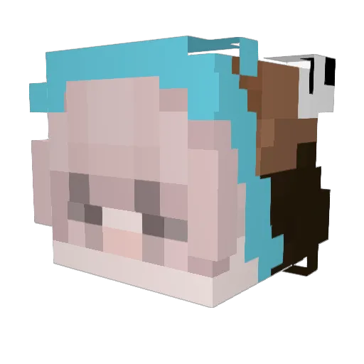 JuniorMEM1 Minecraft avatar head, 3D render