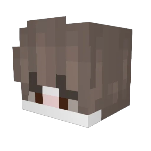 JuniorRobert1 Minecraft avatar head, 3D render