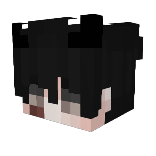 Juniorrr Minecraft avatar head, 3D render