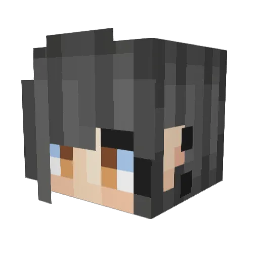 Juniper8 Minecraft avatar head, 3D render