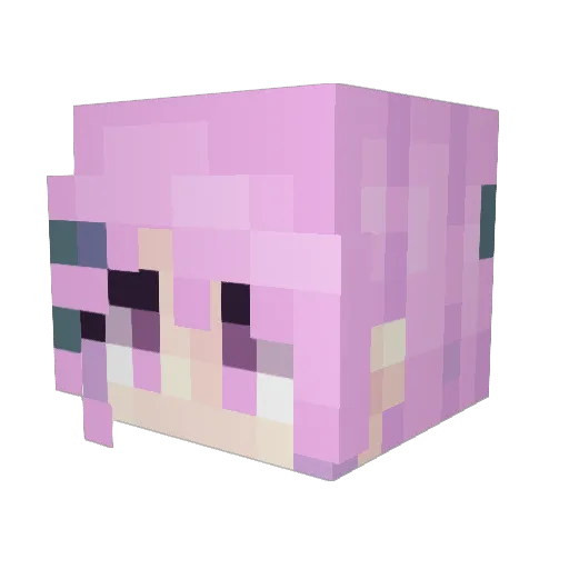 JuniperShrub Minecraft avatar head, 3D render