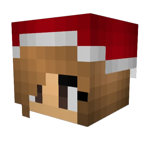 Juniring7 Minecraft avatar head, 3D render
