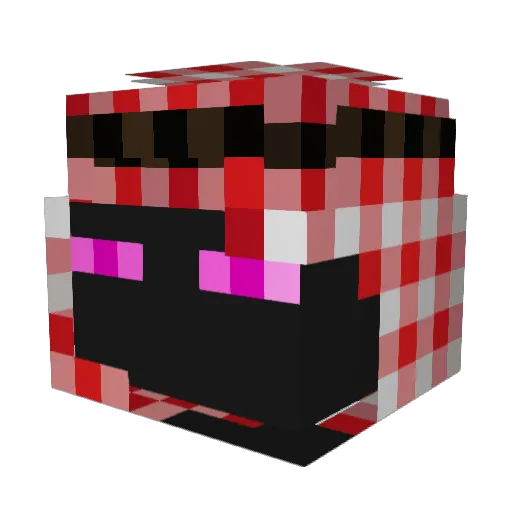 Junitor1436 Minecraft avatar head, 3D render