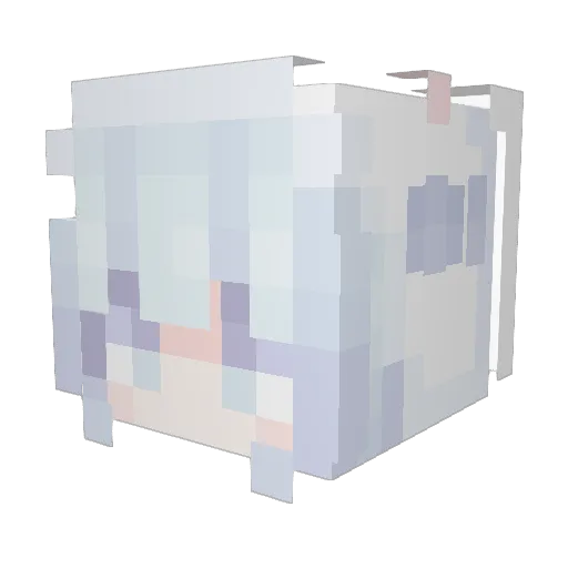 Junjonjo Minecraft avatar head, 3D render