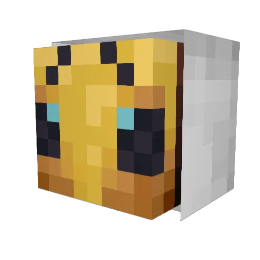 JunkBumblebee15 Minecraft avatar head, 3D render