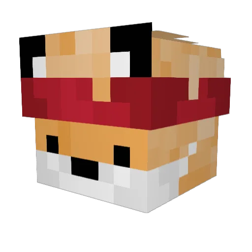 JunkYardFox Minecraft avatar head, 3D render
