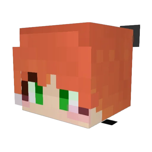 JunkerHan Minecraft avatar head, 3D render