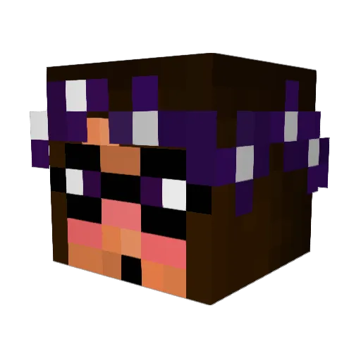 JunkieChew Minecraft avatar head, 3D render