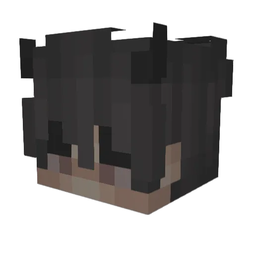 Junkiemoves Minecraft avatar head, 3D render