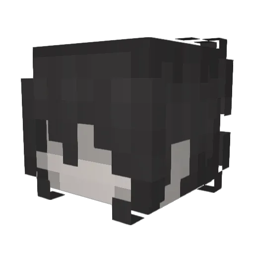 Junkmein1 Minecraft avatar head, 3D render
