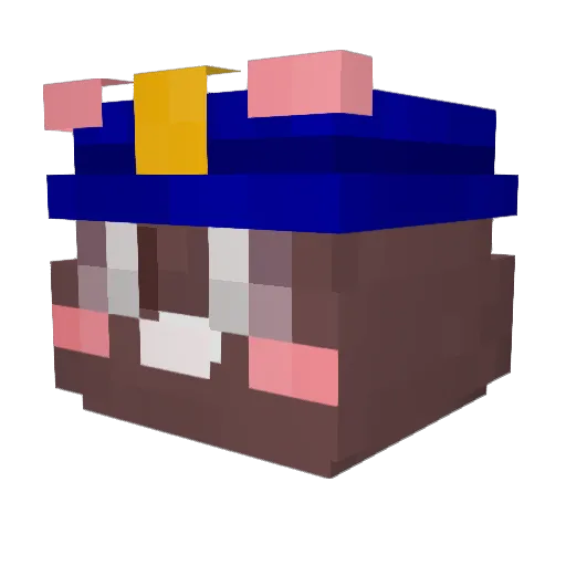 Junkof_ Minecraft avatar head, 3D render