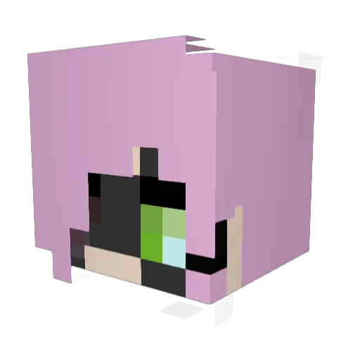 JunksmithJane Minecraft avatar head, 3D render