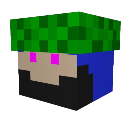 JunkyardKoala Minecraft avatar head, 3D render
