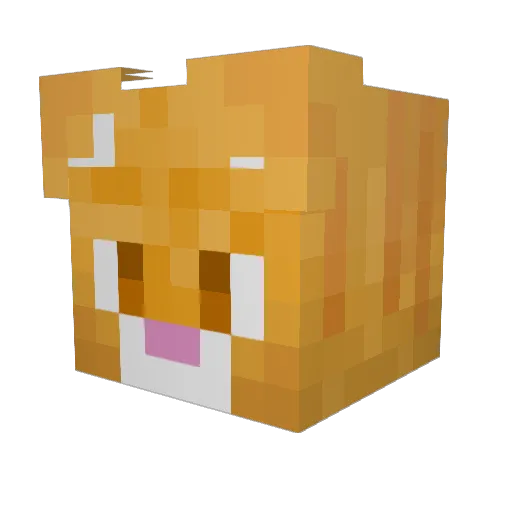 Junnell Minecraft avatar head, 3D render