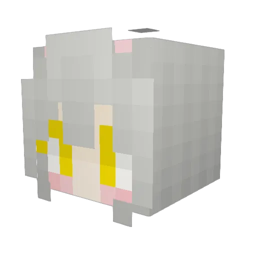 Junny01010 Minecraft avatar head, 3D render