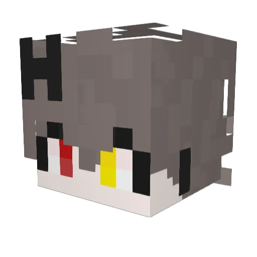 Junsbgh Minecraft avatar head, 3D render