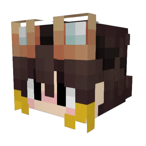 Junseok9 Minecraft avatar head, 3D render