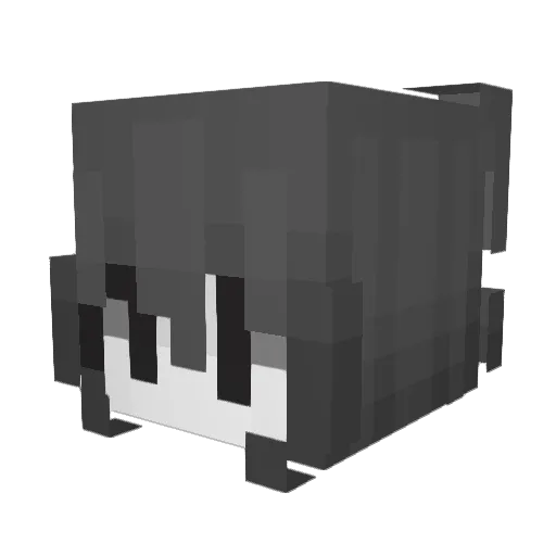 Junty_18 Minecraft avatar head, 3D render