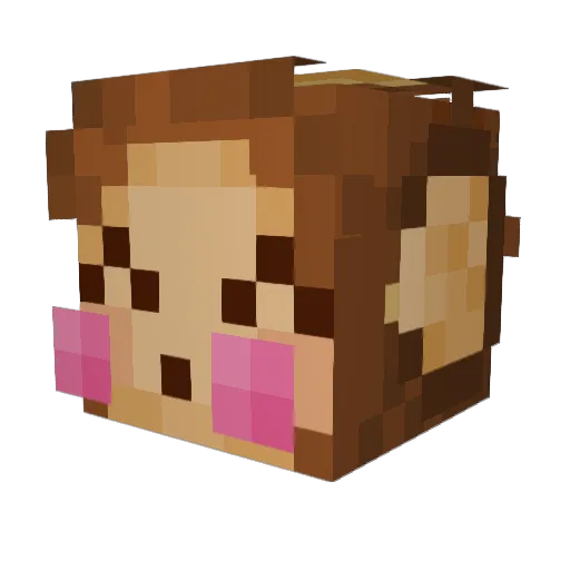 JunxD Minecraft avatar head, 3D render