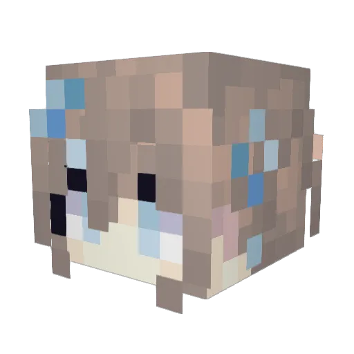 JunxuanB Minecraft avatar head, 3D render