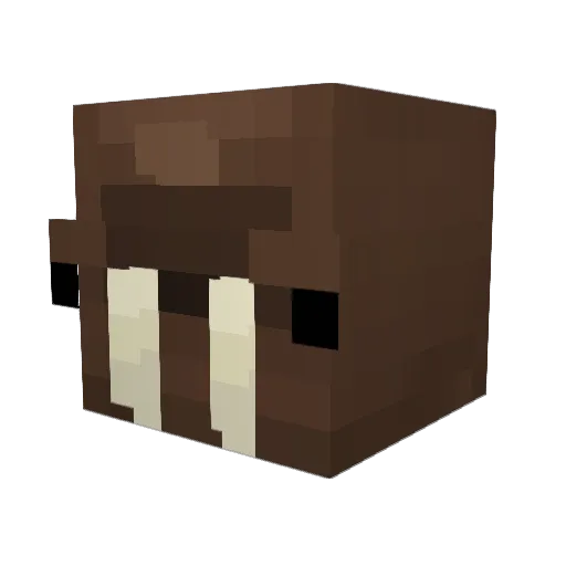 Junz_507 Minecraft avatar head, 3D render