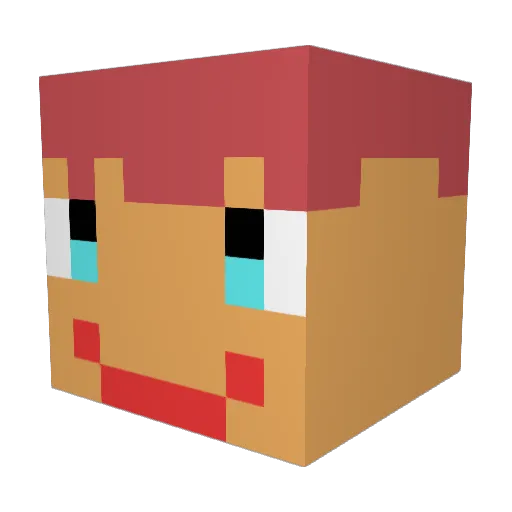 Jupa5799 Minecraft avatar head, 3D render