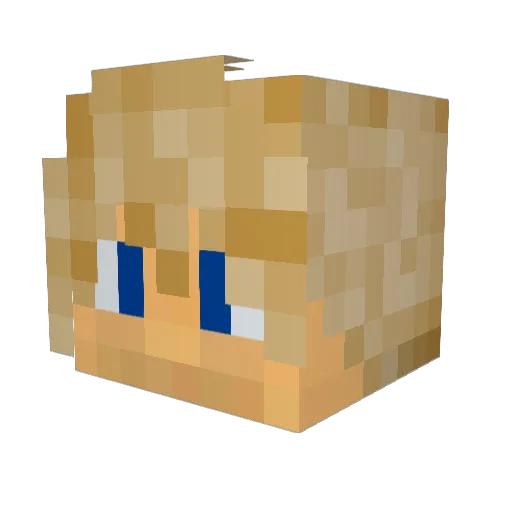 JupeOwl Minecraft avatar head, 3D render
